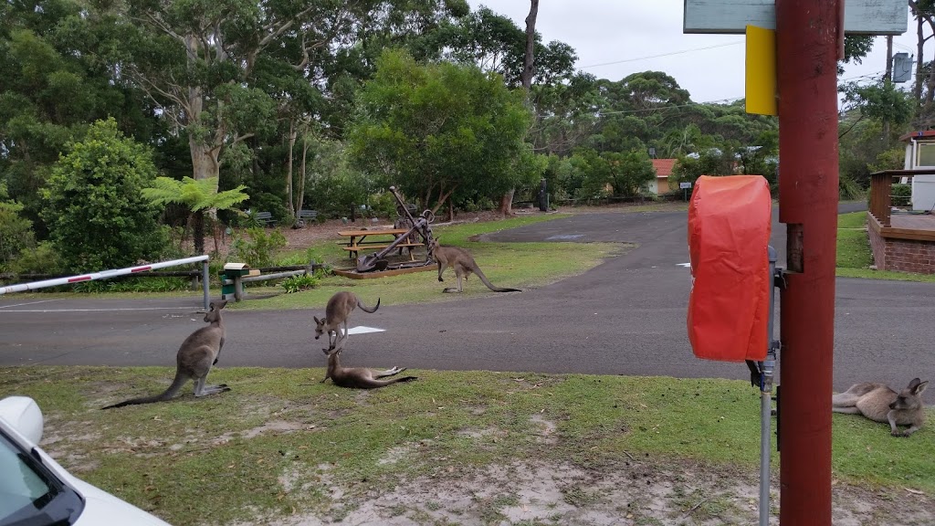 Bushy Tail Caravan Park | rv park | 29 Deakin St, Wrights Beach NSW 2540, Australia