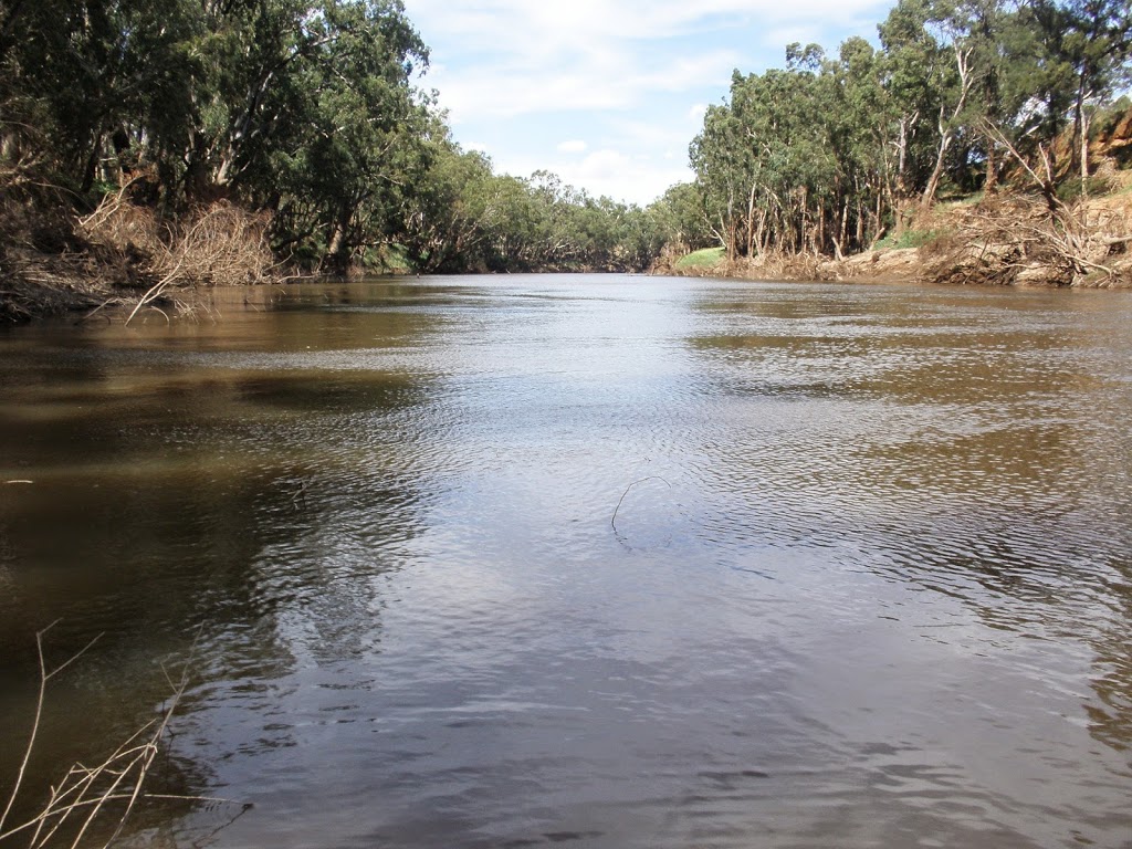 Whylandra Crossing Campground | campground | Rawsonville NSW 2830, Australia