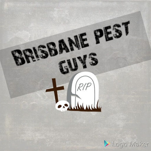 Brisbane pest guys | home goods store | 23 Macquarie St, Woodridge QLD 4114, Australia | 0432118125 OR +61 432 118 125