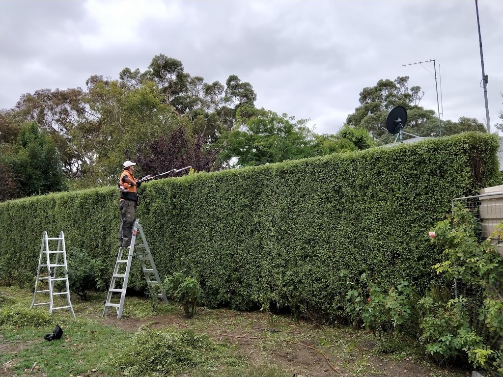 Treeworx south east | Springs Drive, Naracoorte SA 5271, Australia | Phone: 0412 997 914