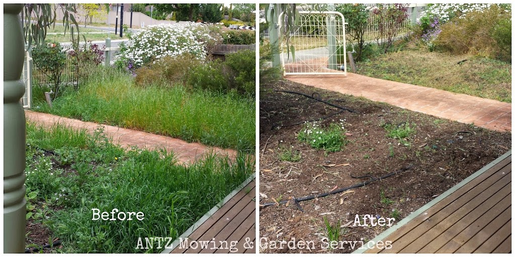 Antz Mowing & Garden Services | Tall Tree Rd, Lethbridge VIC 3332, Australia | Phone: 0422 248 971