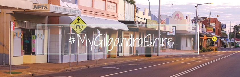 Gilgandra Shire Council | local government office | 15 Warren Rd, Gilgandra NSW 2827, Australia | 0268178800 OR +61 2 6817 8800
