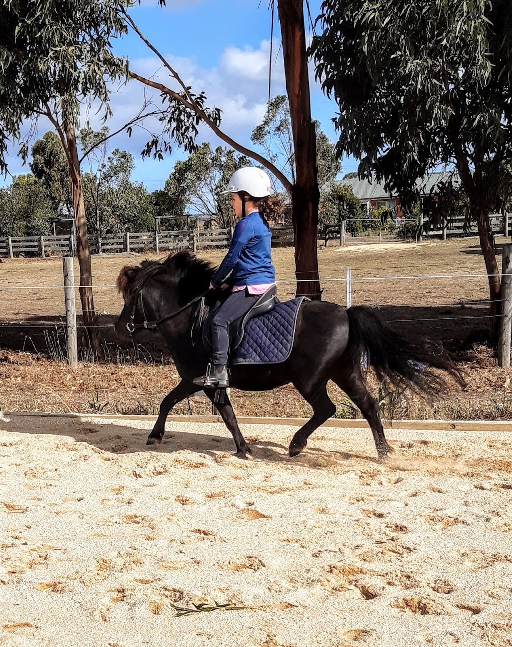 Taminga Equestrian Centre |  | 3200 Princes Hwy, Winchelsea VIC 3241, Australia | 0421645940 OR +61 421 645 940