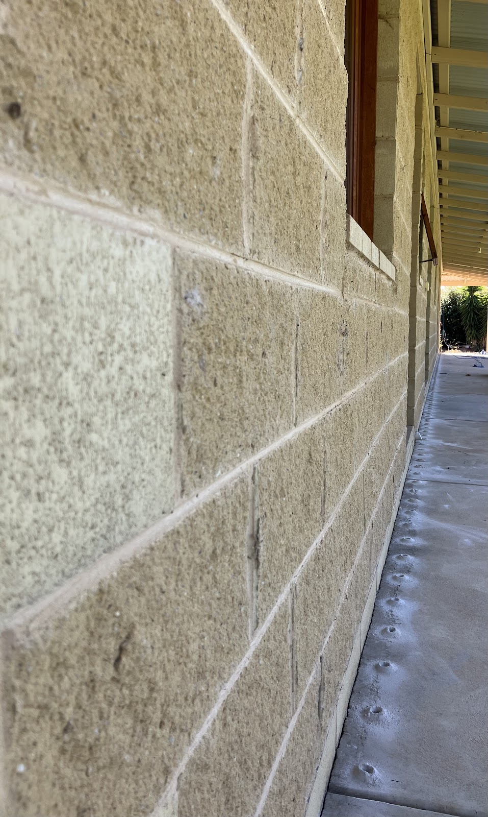 Borderline Pest Control | Victoria St, Deniliquin NSW 2710, Australia | Phone: 0448 104 521