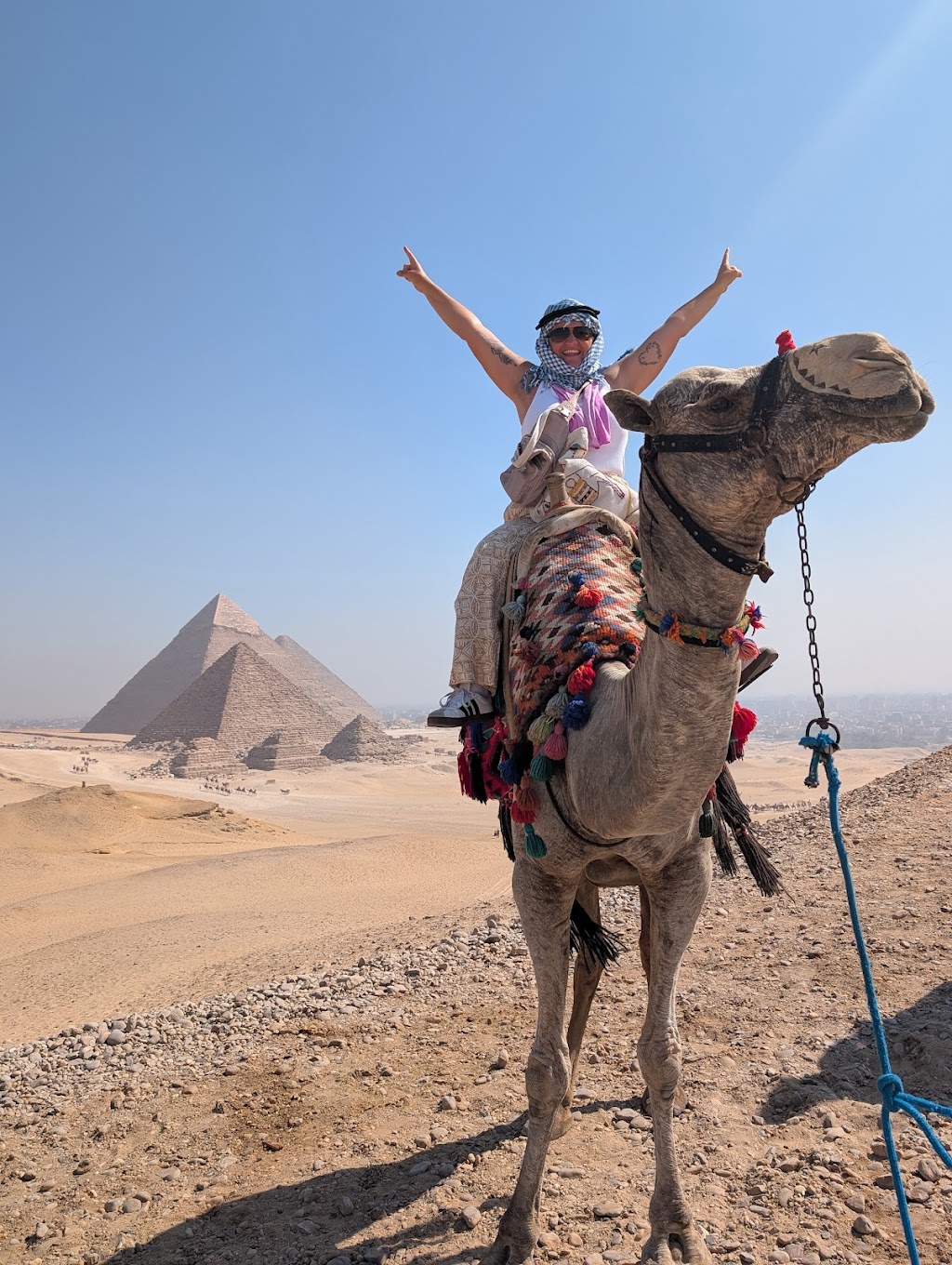 Absolute Egypt | Parcel Collect 10079, 48258/30 Commercial St, Korumburra VIC 3950, Australia | Phone: (03) 5959 1939