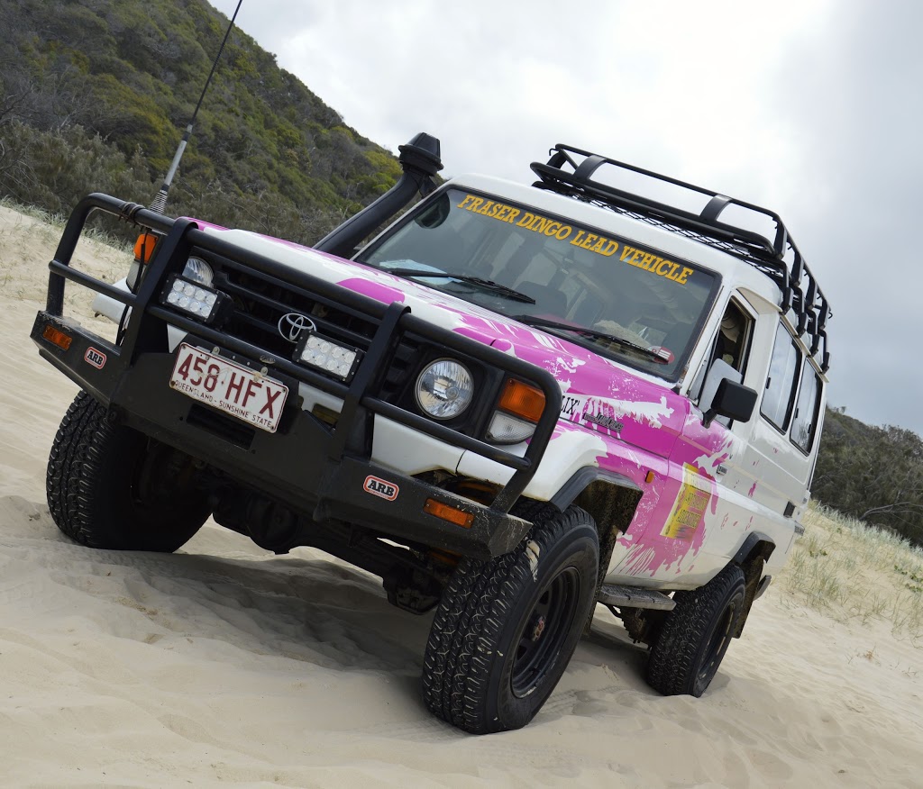Fraser Dingo 4wd Adventures | 6 Southern Cross Circuit, Urangan QLD 4655, Australia | Phone: (07) 4125 6386
