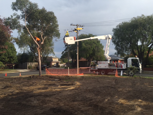 Pearcdale Tree Removal Services - Cut It Right | 54 Baxter-Tooradin Rd, Pearcedale VIC 3912, Australia | Phone: (03) 5976 3114