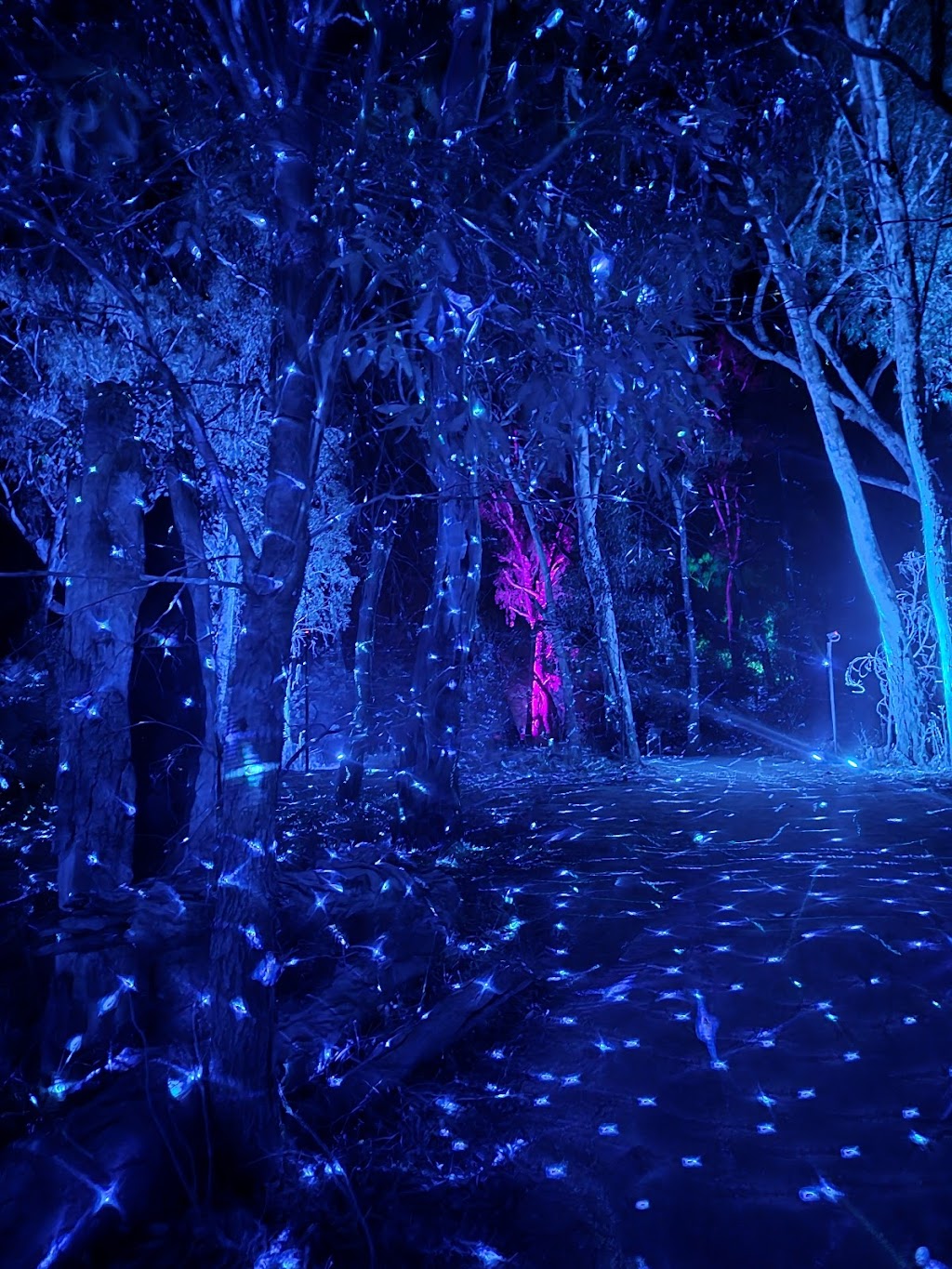 Bullanginya Dreaming | 10-16 Burkinshaw St, Barooga NSW 3644, Australia | Phone: (03) 5873 4448