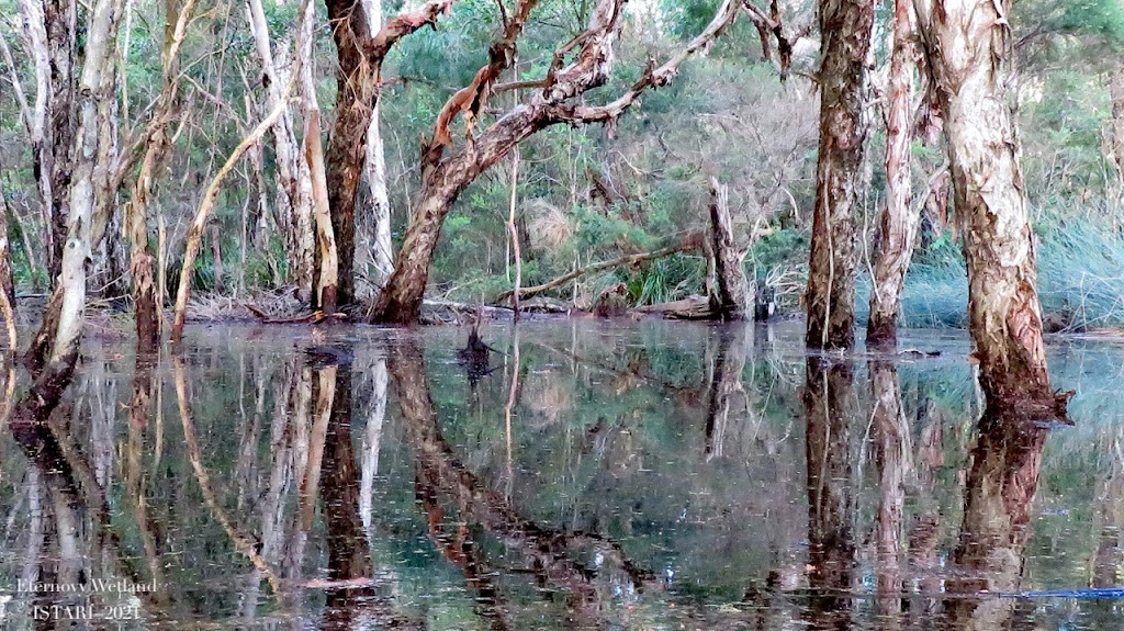 ISTARI - Australian Bush Life | 1074 Stockyard Creek Rd, Stockyard Creek NSW 2460, Australia | Phone: 0458 009 679