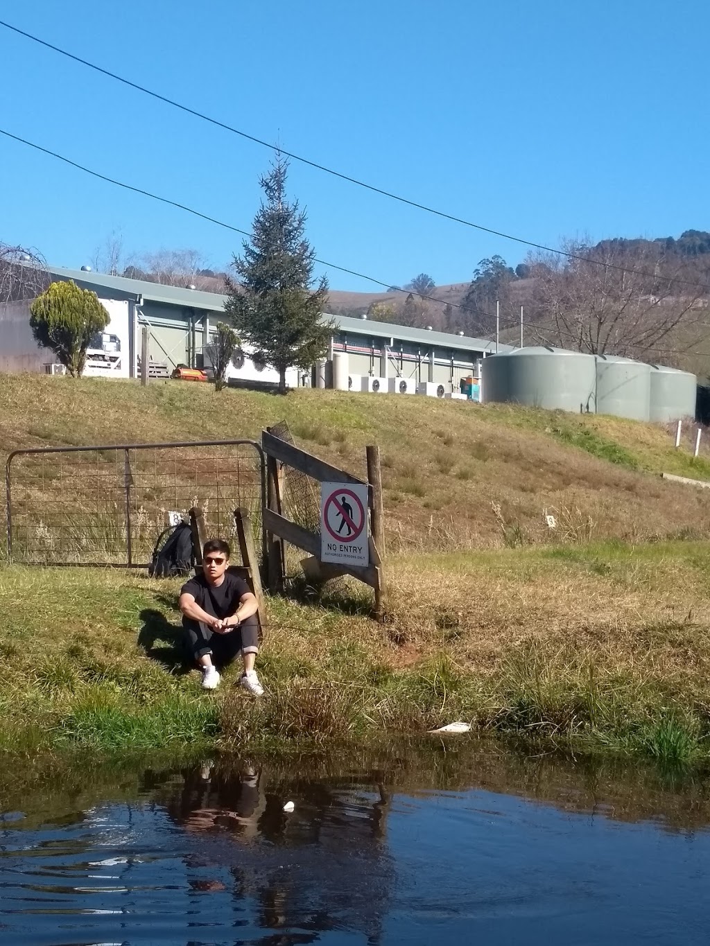 Alpine Trout Farm | food | 115 Mt Baw Baw Tourist Rd, Piedmont VIC 3833, Australia | 0356289584 OR +61 3 5628 9584