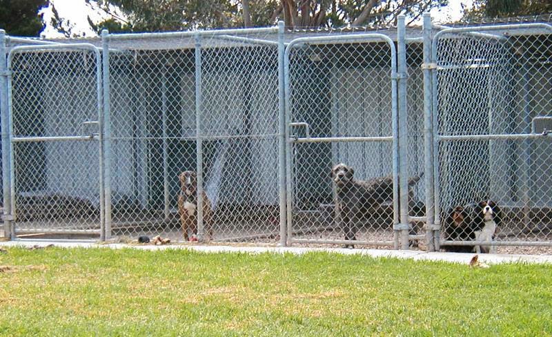 Covaine Boarding Kennels & Cattery | veterinary care | 141 Ingliston-Settlement Rd, Ballan VIC 3342, Australia | 0457422092 OR +61 457 422 092