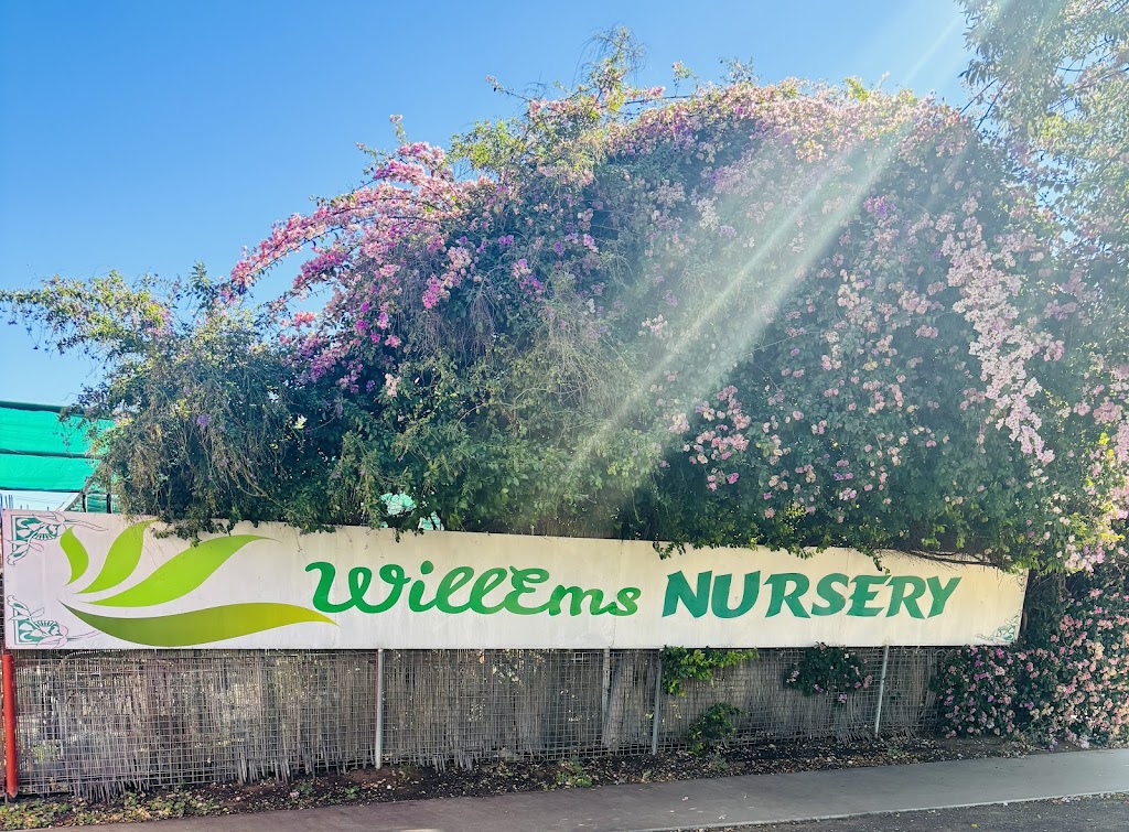 WillEms Nursery | 87 Wyndham St, Roma QLD 4455, Australia | Phone: (07) 4622 5451