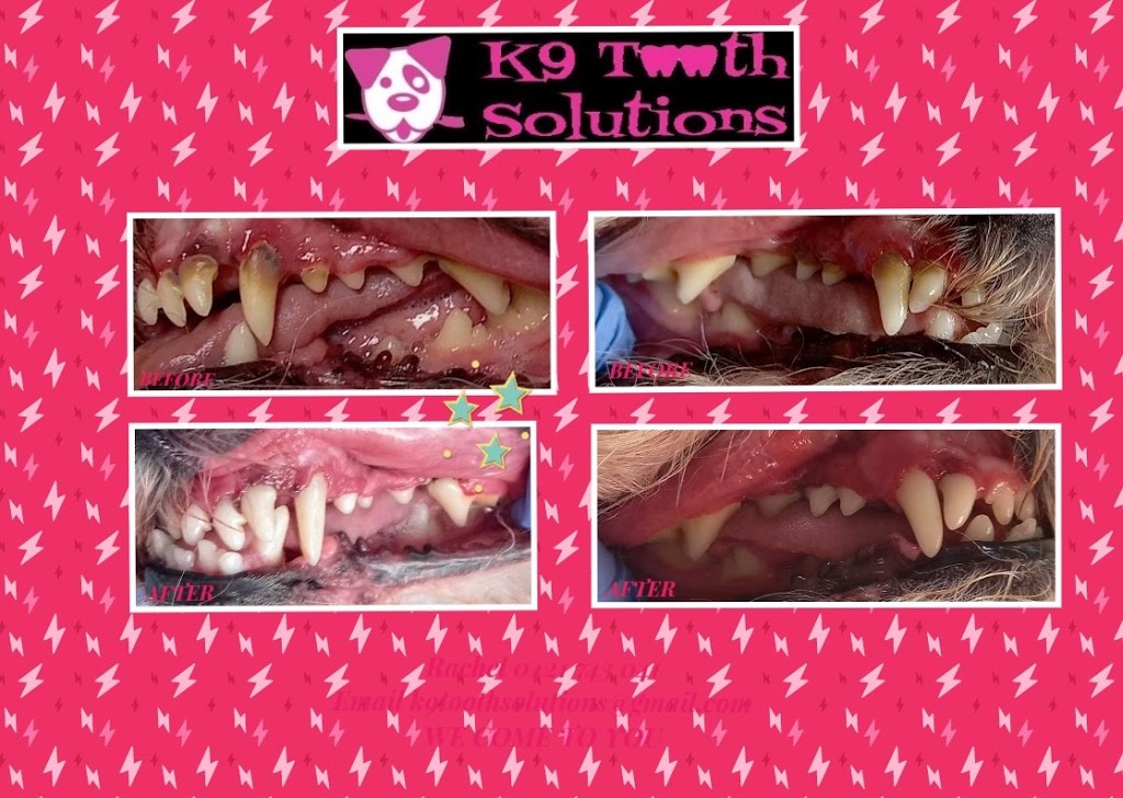 K9 Tooth Solutions |  | 35 Alison Dr, Lara VIC 3212, Australia | 0421743041 OR +61 421 743 041