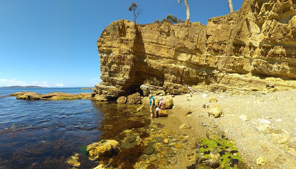 Fossil Cove Conservation Area | park | Tasmania, Australia