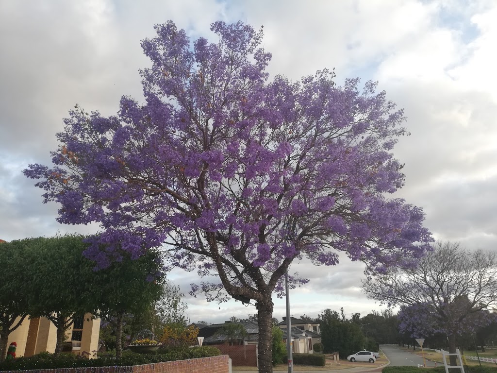 Sherlock Park | Jane Brook WA 6056, Australia