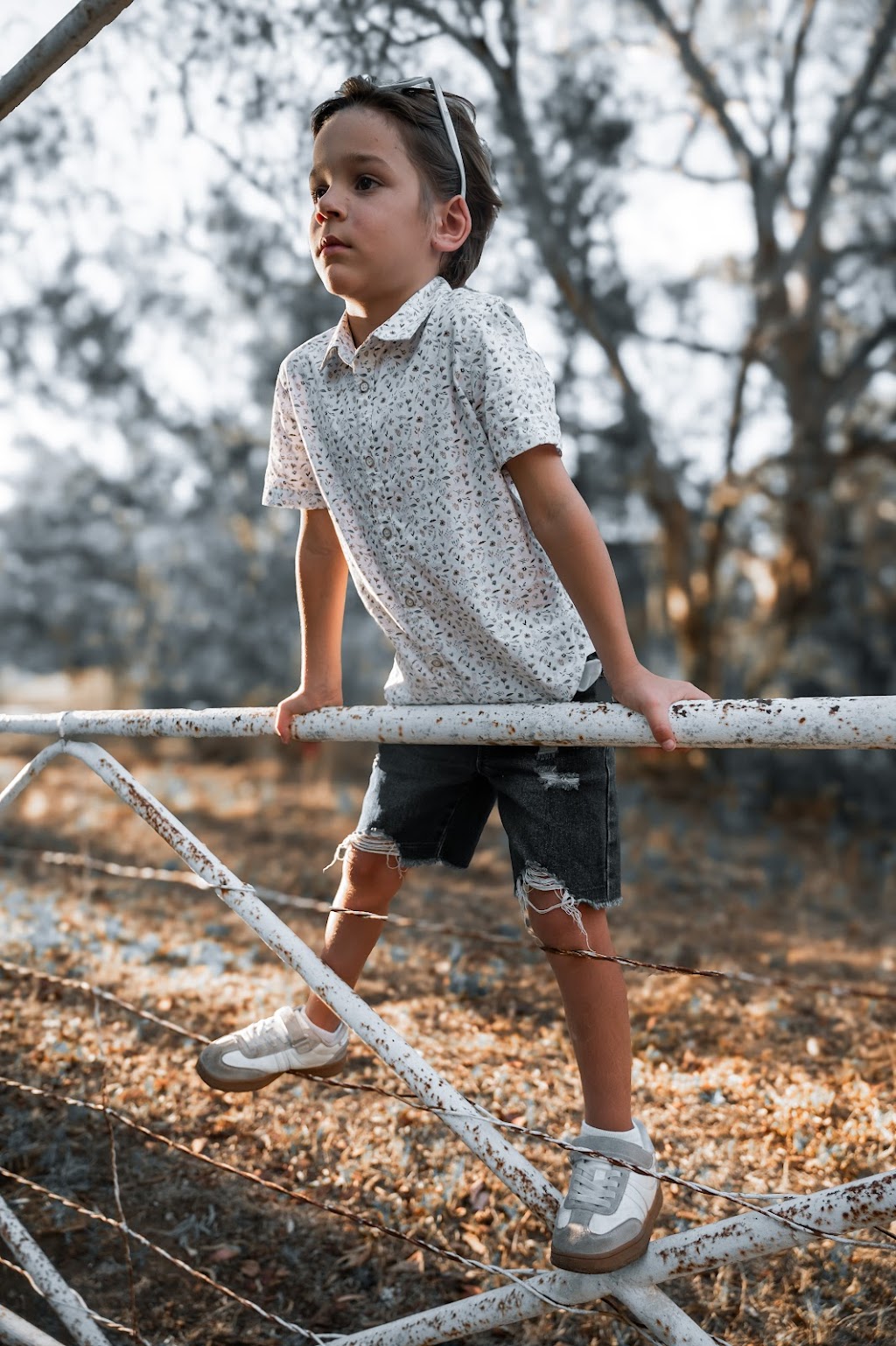 The Mellor Perspective | 53 Newell Hwy, Gilgandra NSW 2827, Australia | Phone: 0434 070 335