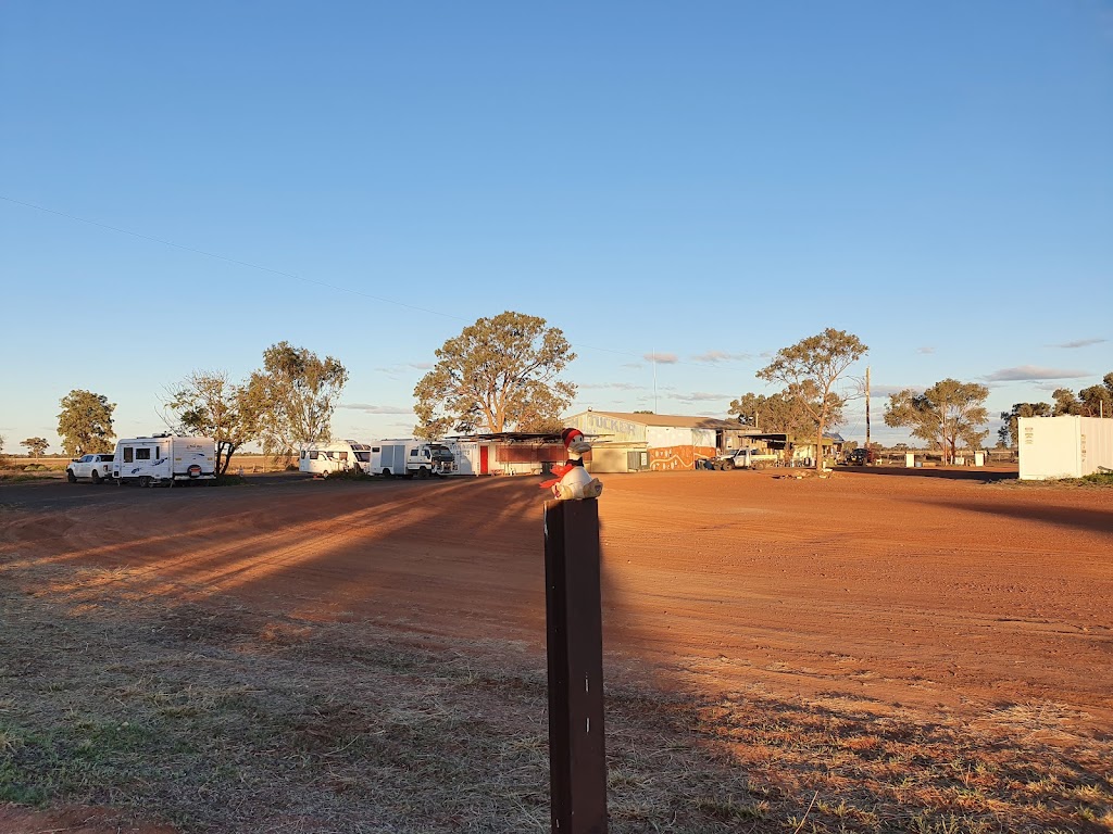 Bush Tucker Inn and Caravan Park | 13698 Mitchell Hwy, Barringun NSW 2840, Australia | Phone: (02) 6874 7584