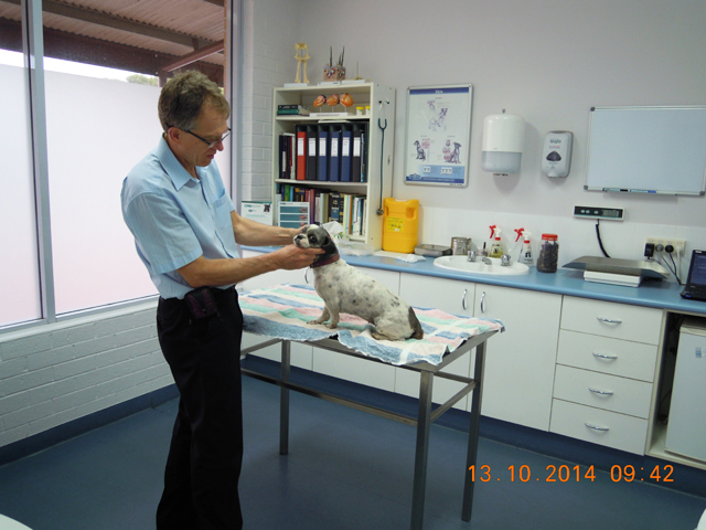 Shoalhaven Heads Vet Clinic (BerryHaven Vet Group) | veterinary care | 2/133 Shoalhaven Heads Rd, Shoalhaven Heads NSW 2535, Australia | 0244485621 OR +61 2 4448 5621