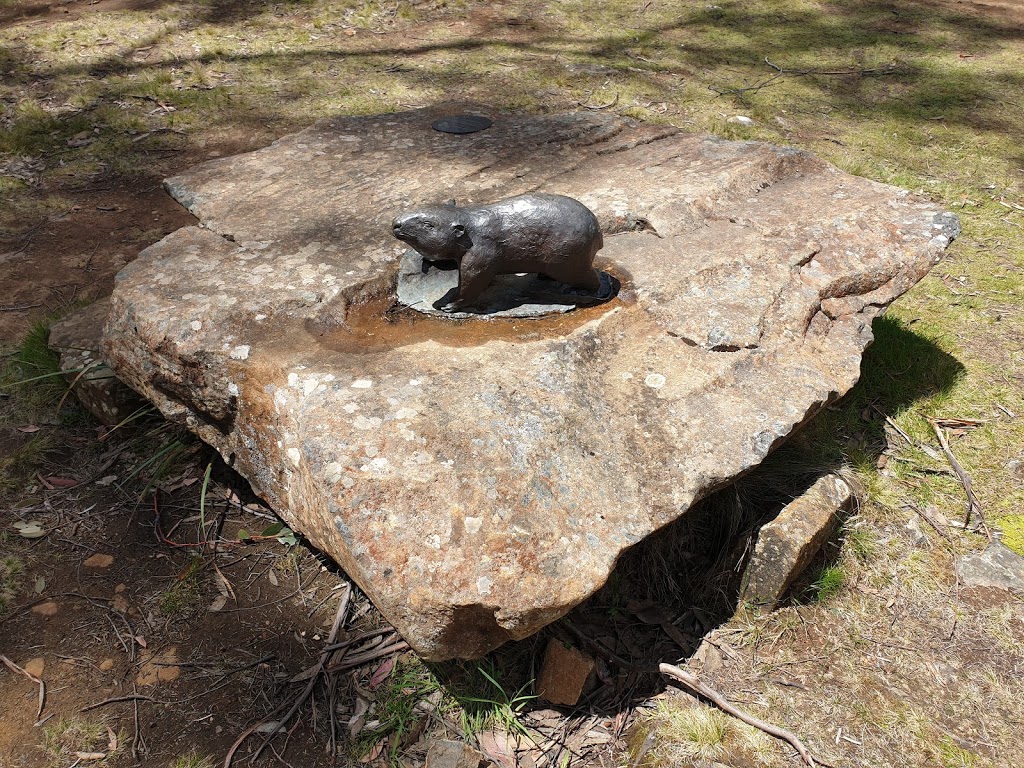 The Steppes Sculptures | museum | 5581 Highland Lakes Rd, Steppes TAS 7030, Australia