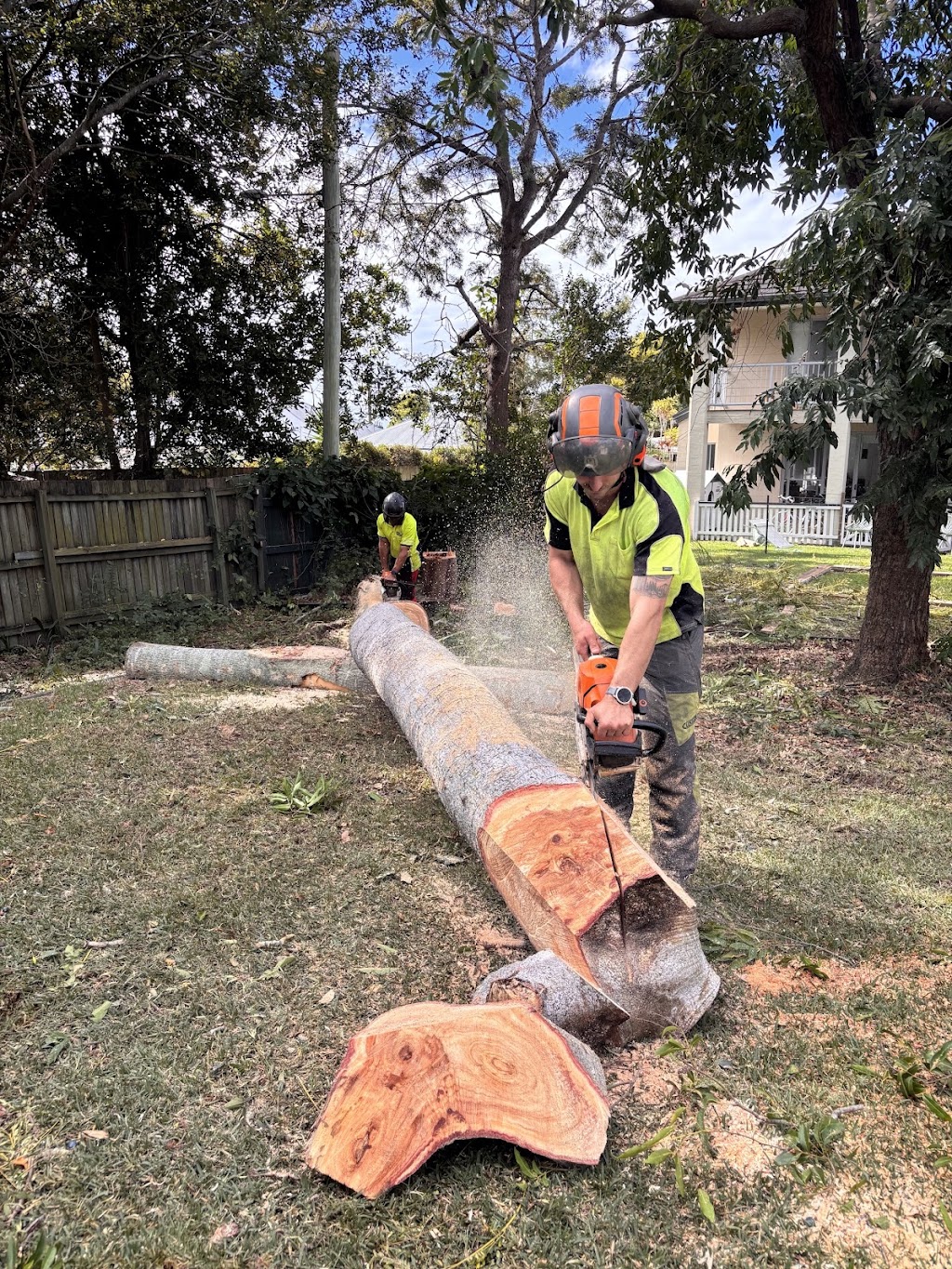 S&K Tree Lopping | Alexander Cres, Morayfield QLD 4506, Australia | Phone: 0493 416 150
