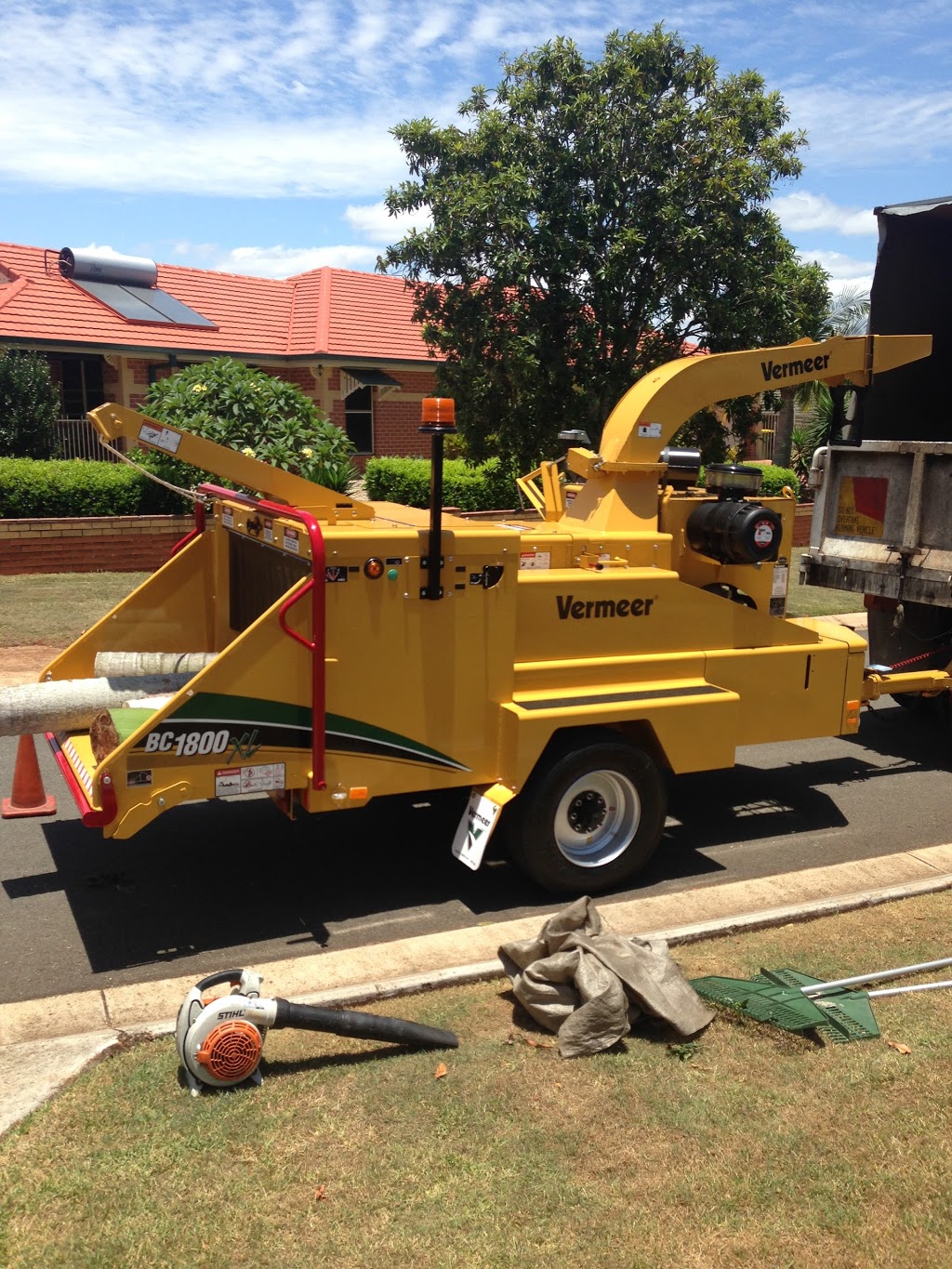 Trees Palms and Stumps | 392 Mount Cotton Rd, Capalaba QLD 4157, Australia | Phone: 0409 621 863