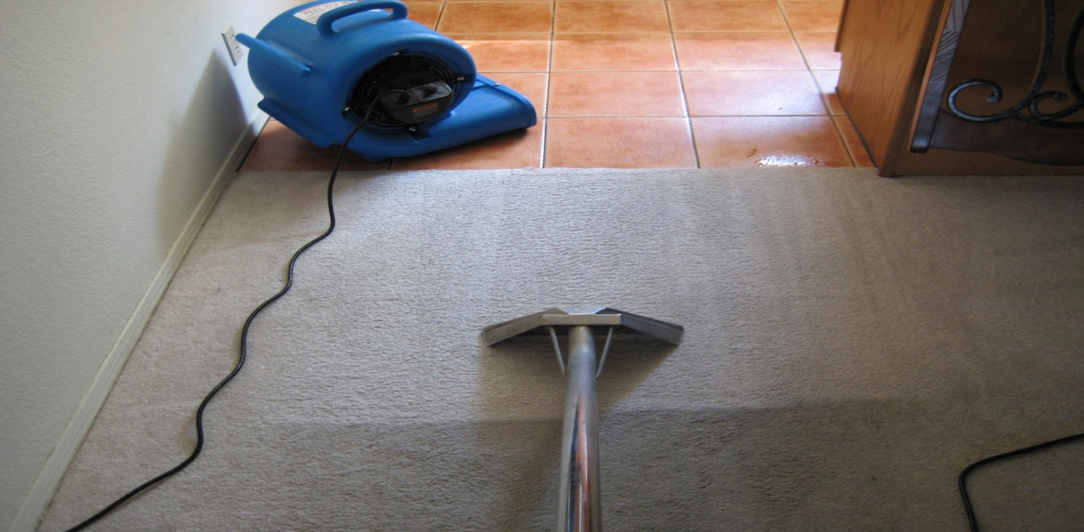 Carpet Cleaning Hawker | health | 32 Arkaba Street, Hawker, SA 5434, Australia | 0488811269 OR +61 488 811 269