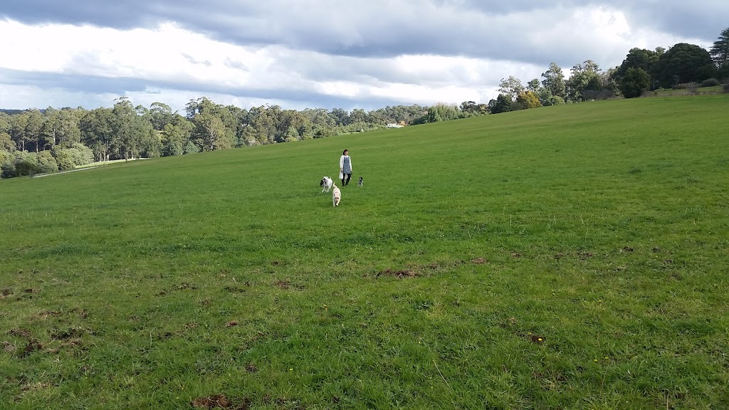 Emerald Lake Park | Emerald Lake Rd, Emerald VIC 3782, Australia | Phone: 1300 131 683