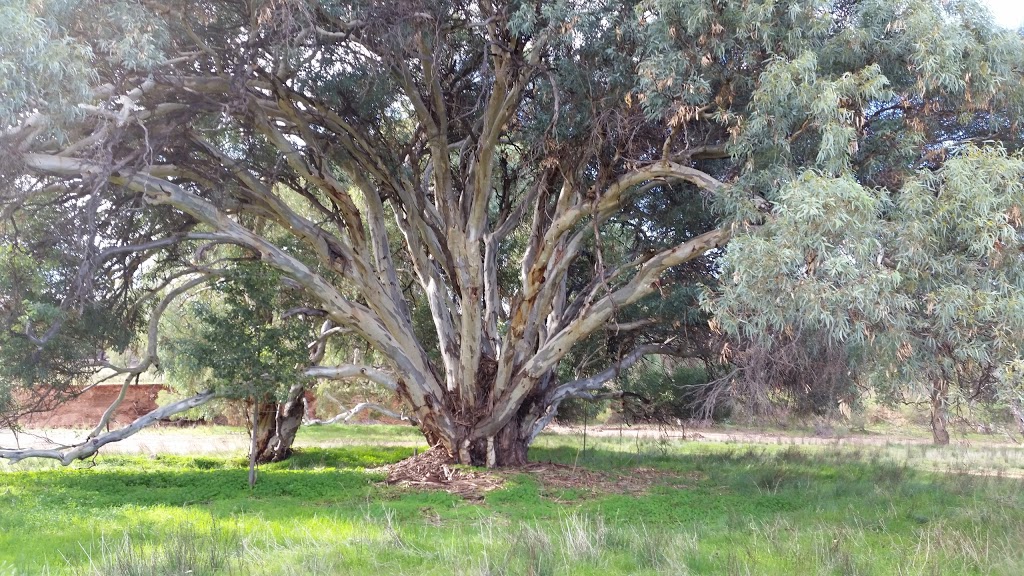 Alpana Station | lodging | Flinders Ranges Way, Blinman SA 5730, Australia | 0886484626 OR +61 8 8648 4626