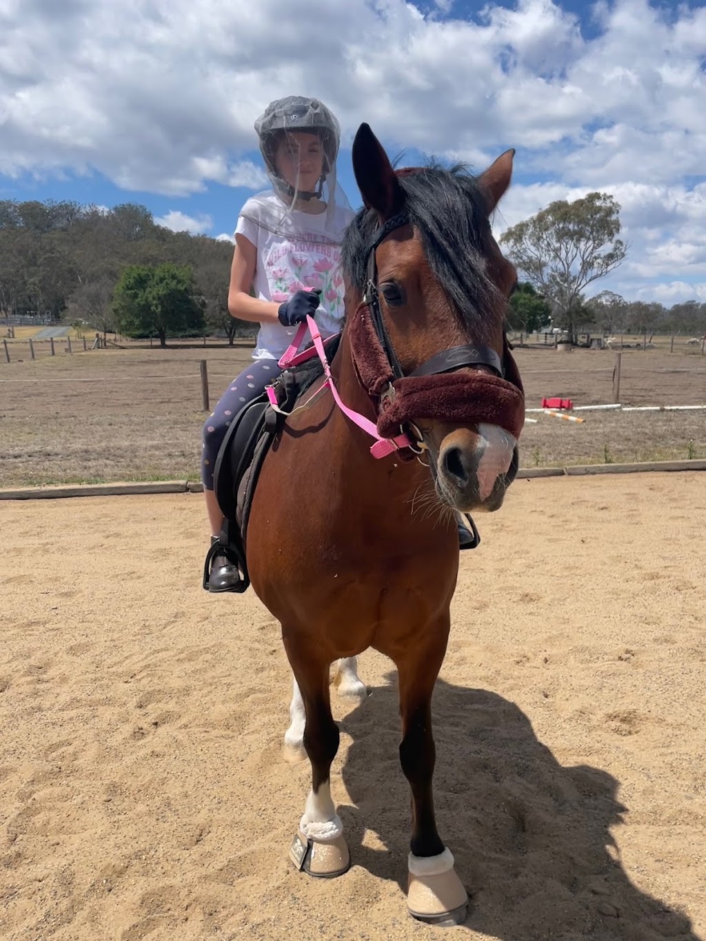 Equi-Guard | 300 Dixons Ln, Ramsay QLD 4358, Australia | Phone: 0488 787 616 Equi-Guard | 300 Dixons Ln, Ramsay QLD 4358, Australia | Phone: 0488 787 616