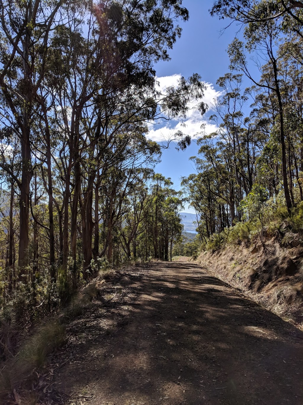 Zig Zag Trail | park | 377 Collinsvale Rd, Collinsvale TAS 7012, Australia