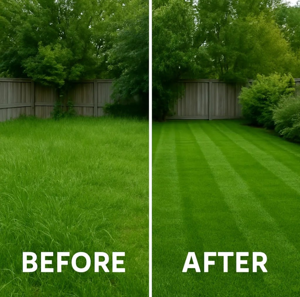 Christel clear lawn service | Unit 2 Karoonda Cl, Rathmines NSW 2283, Australia | Phone: 0431 488 521