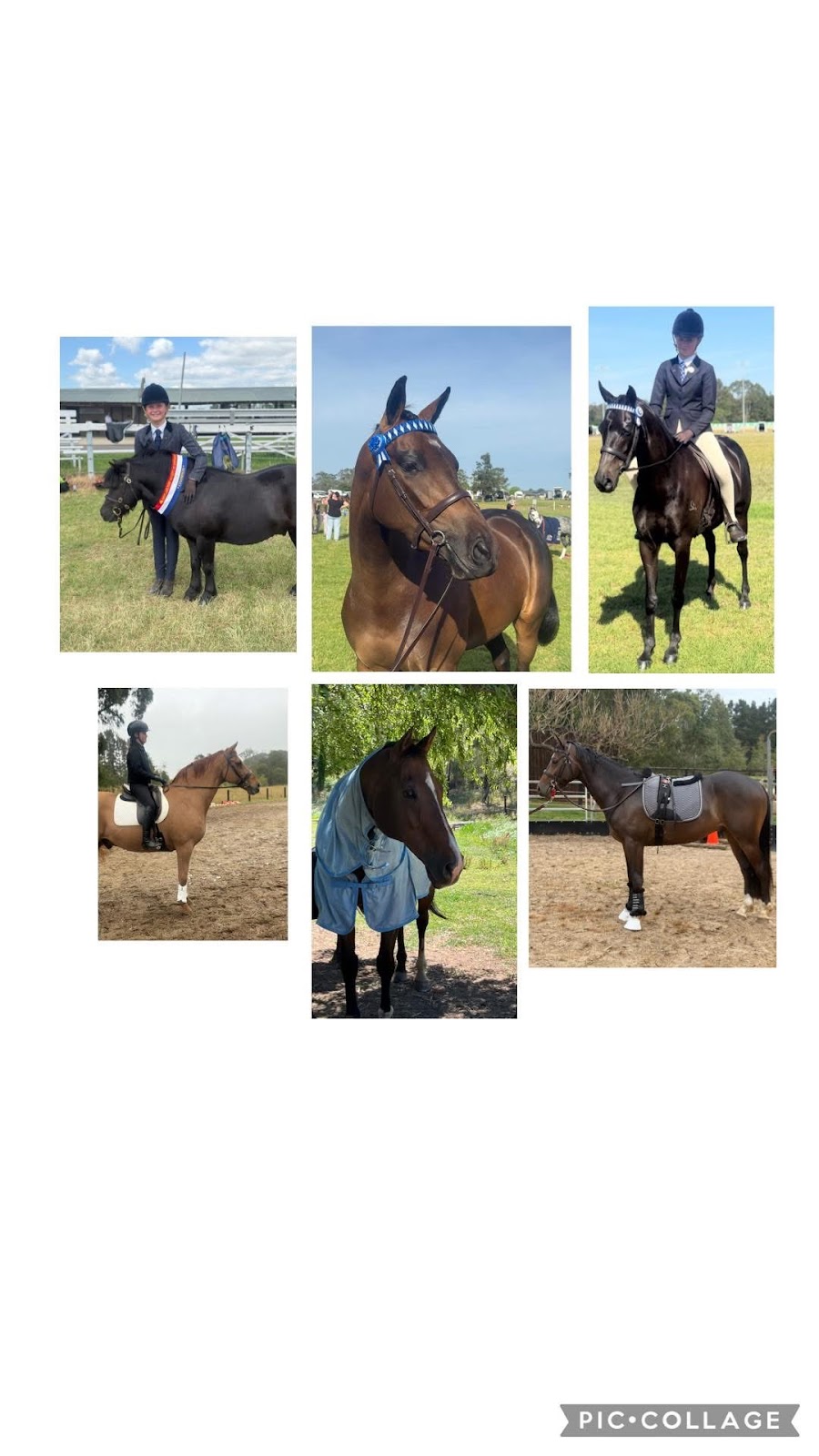 EVERIN PARK | 357 Ellsmore Rd, Exeter NSW 2579, Australia | Phone: 0414 831 288