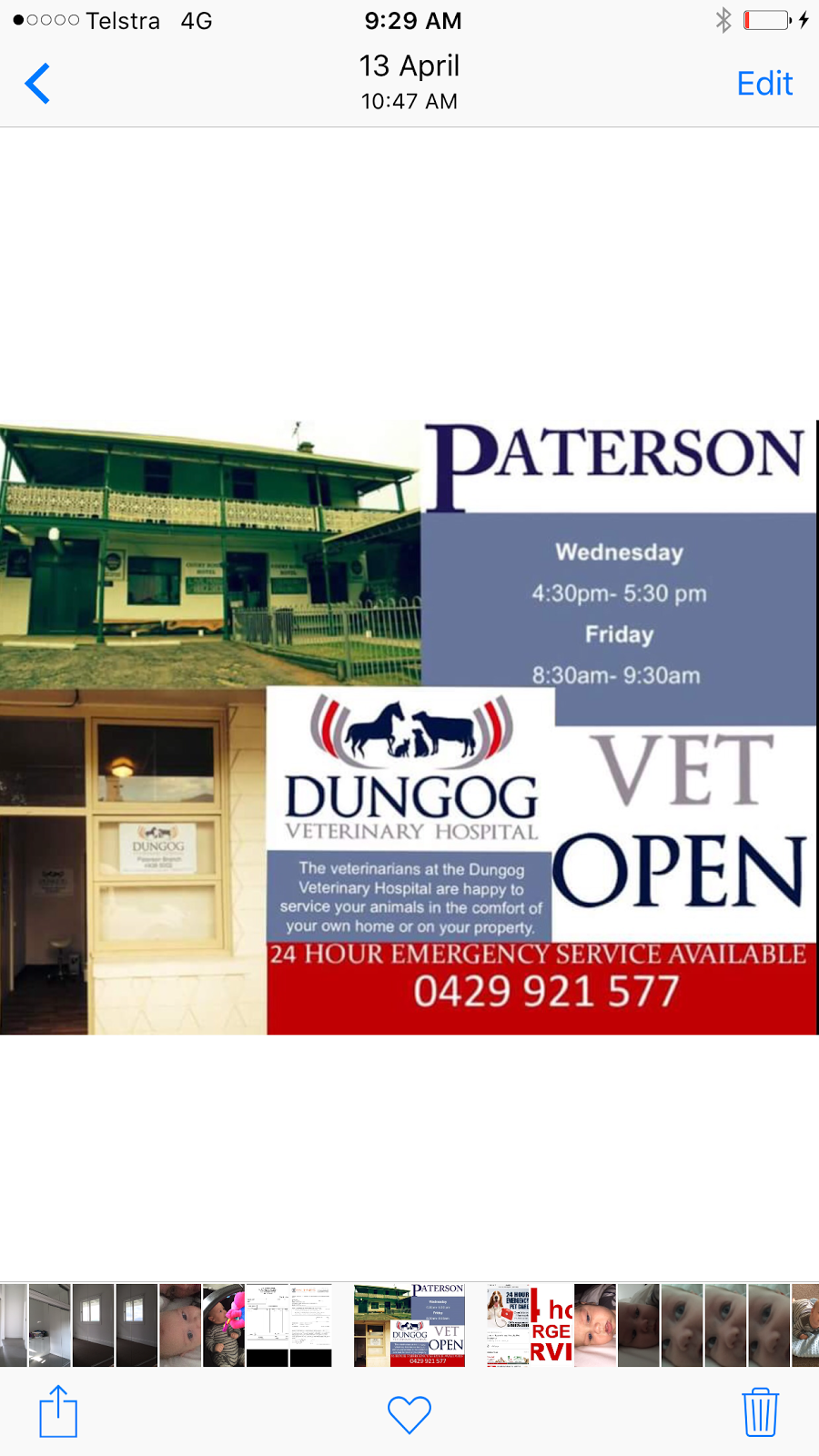 Paterson Branch- Dungog Veterinary Hospital | veterinary care | 30 King St, Paterson NSW 2421, Australia | 0249385002 OR +61 2 4938 5002