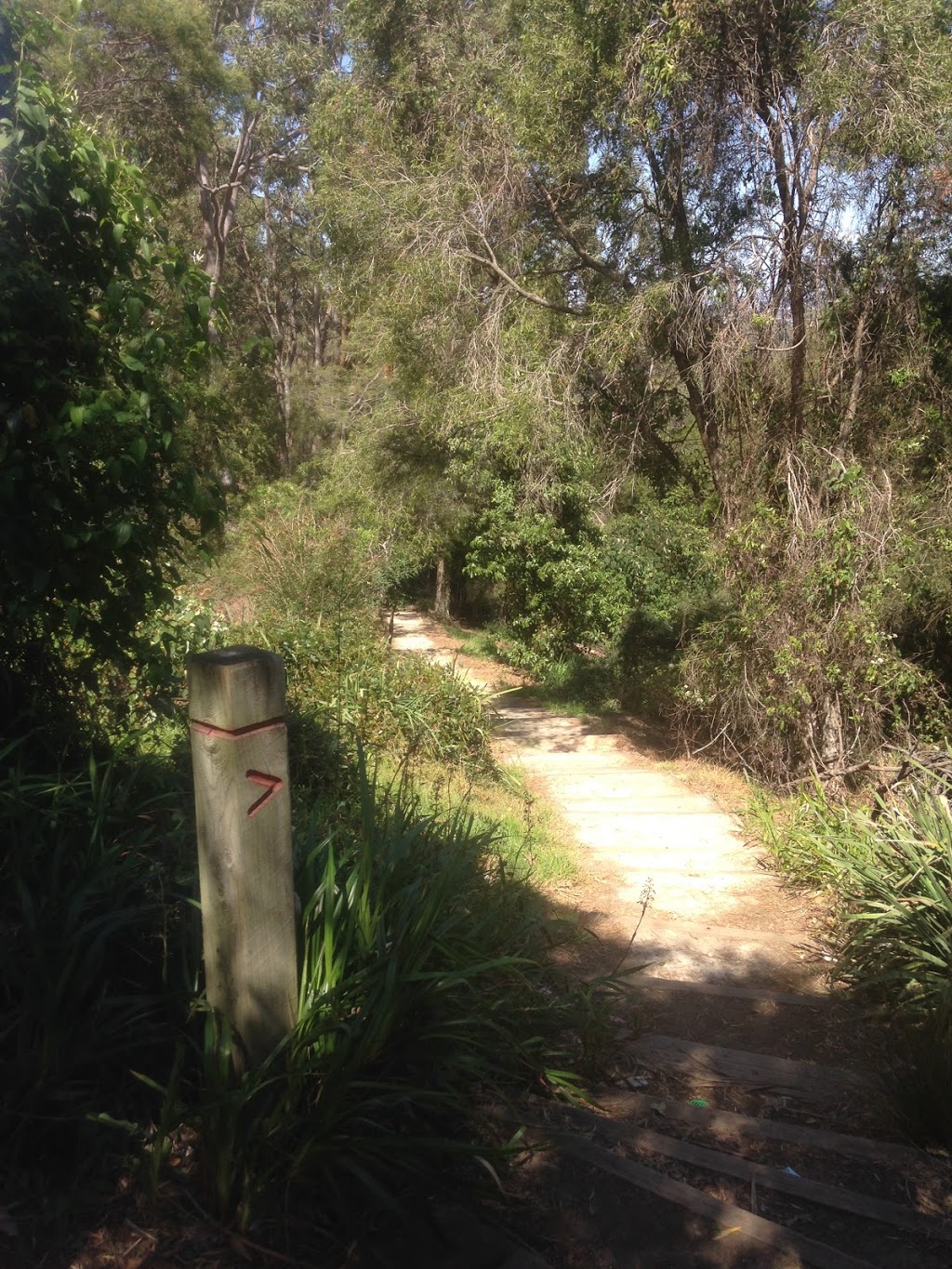 Eric Mobbs Memorial Park | park | 356 Marsden Rd, Carlingford NSW 2118, Australia