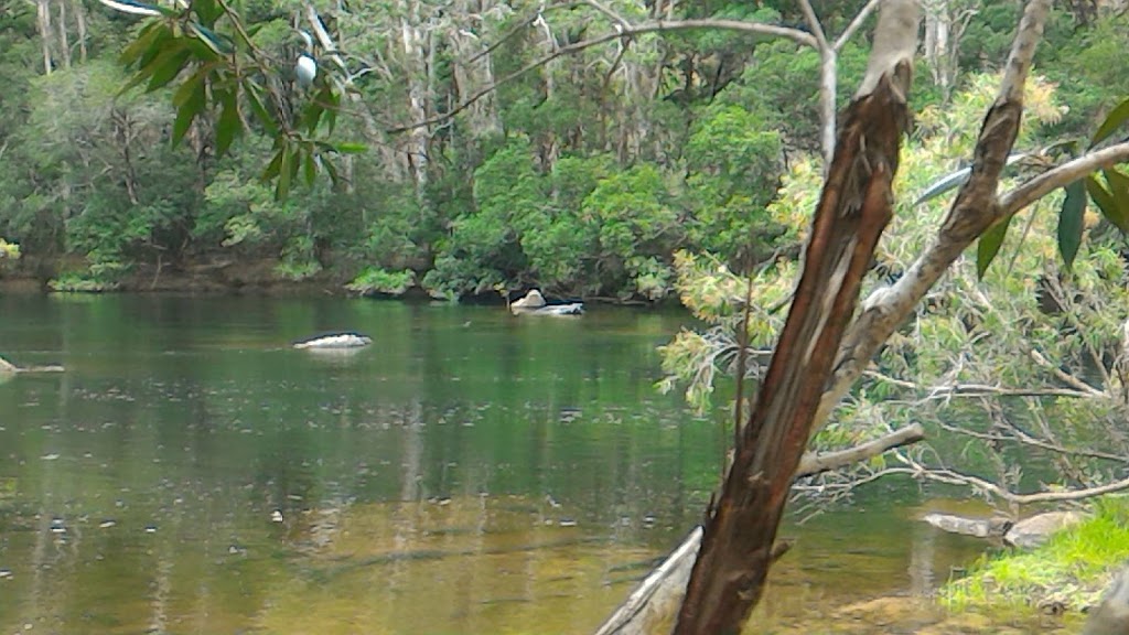 Wujal Wujal Falls | Bloomfield QLD 4895, Australia