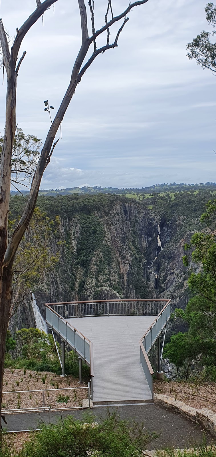 Wollomombi Falls Picnic Area | Wollomombi Falls Rd, Hillgrove NSW 2350, Australia | Phone: 1300 072 757