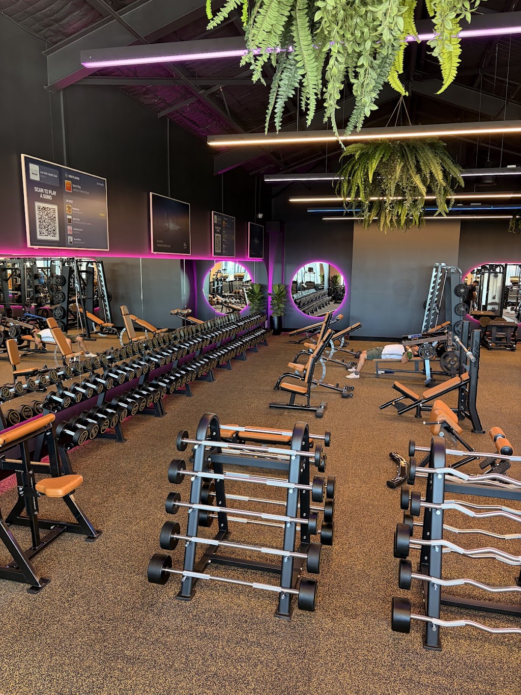 Live Well Health Clubs | 4 Lakefront Cres, Gables NSW 2765, Australia | Phone: 0488 994 455