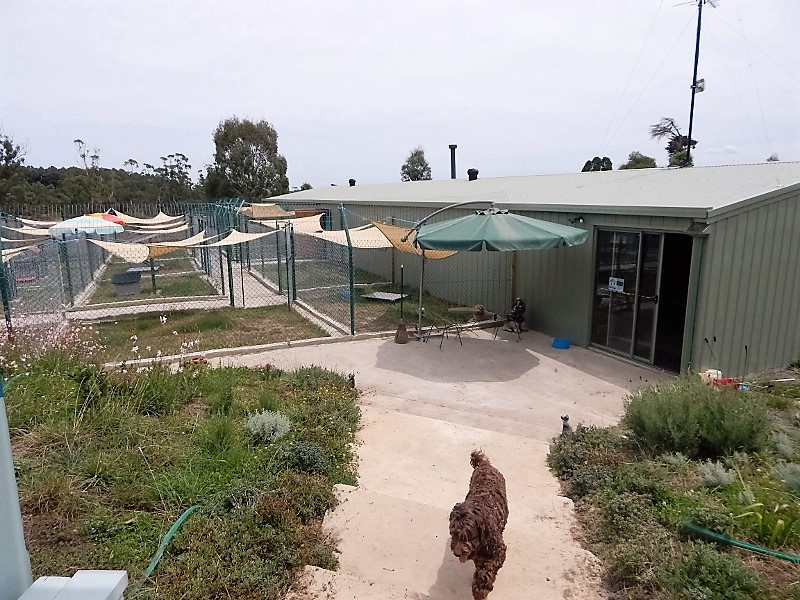 Darnum Haven Boarding Kennels |  | 75 Stuhrs Rd, Darnum VIC 3822, Australia | 0434438083 OR +61 434 438 083