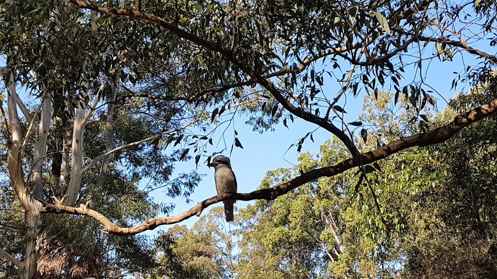 Samford Conservation Park | Ferny Hills QLD 4055, Australia | Phone: 13 74 68