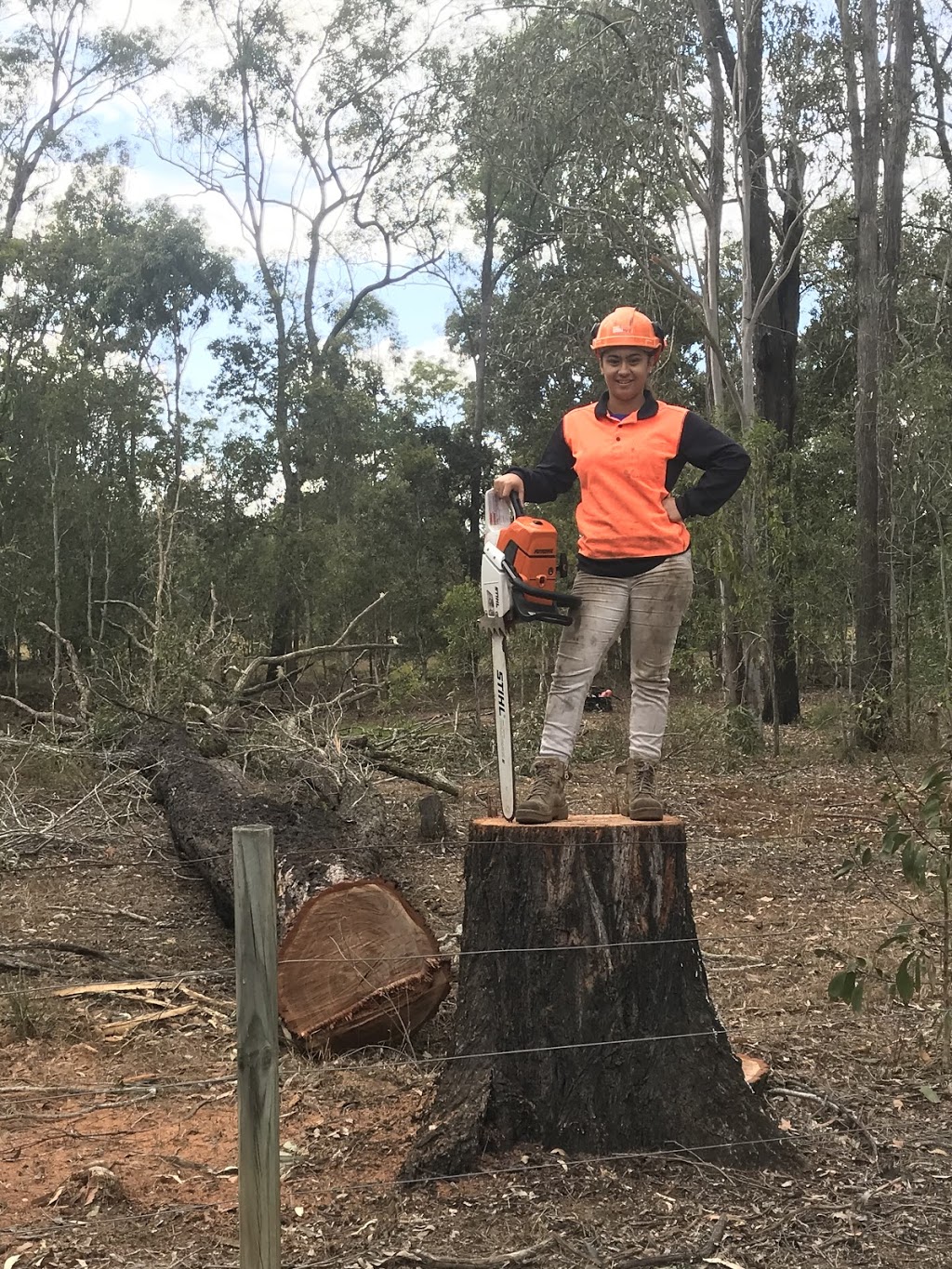 Tree lopping logan | 27 Holles St, logan QLD 4680, Australia | Phone: (07) 3133 3199