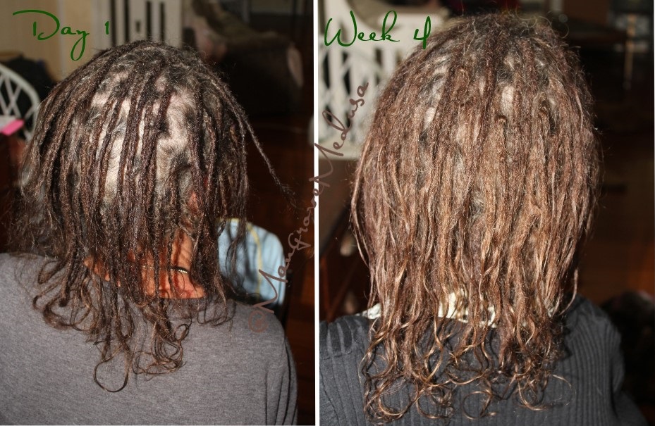 Mangrove Medusa - Dreadlocks & Crafts | 46 Crescent Dr, Russell Island QLD 4184, Australia | Phone: 0458 761 456