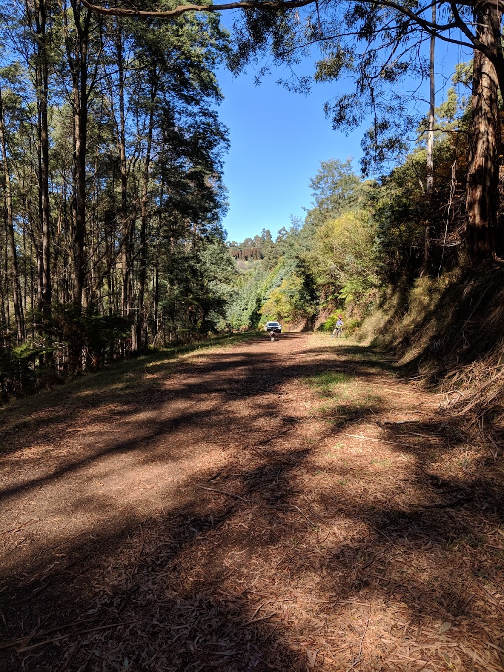 Mathias Walking Track | park | Mathias Rd, Olinda VIC 3788, Australia