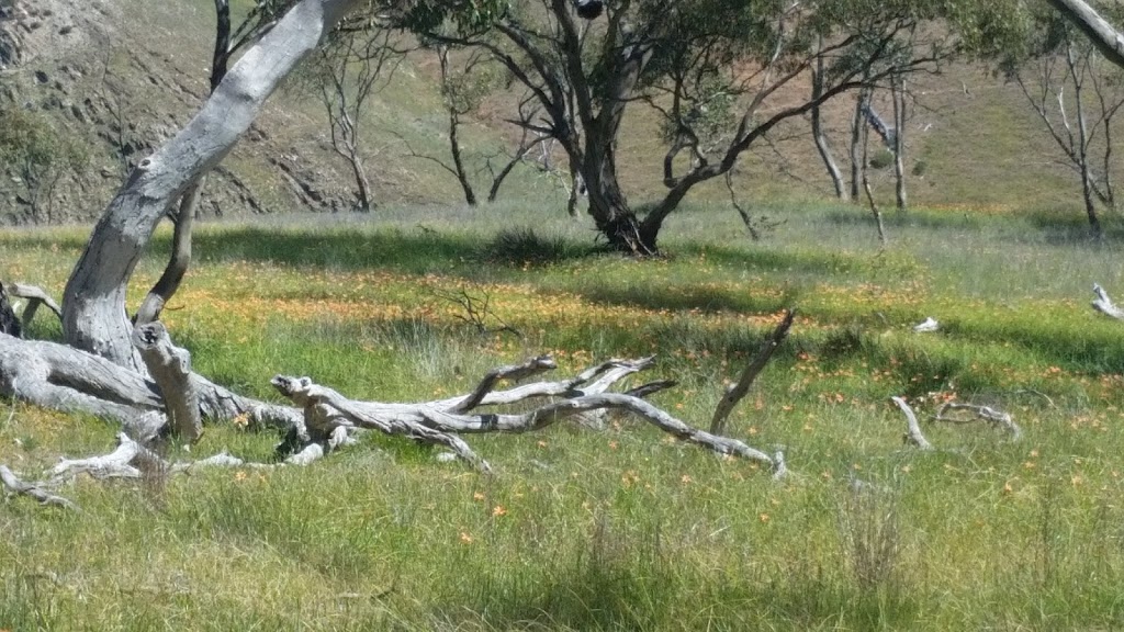 Spring Gully Conservation Park | park | Sawmill Rd, Sevenhill SA 5453, Australia