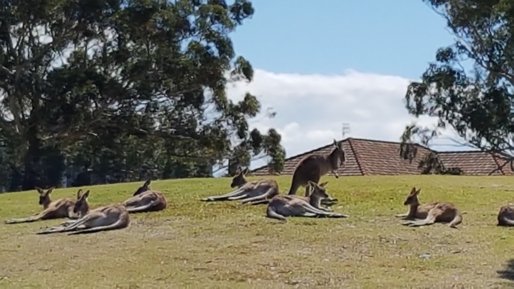 Horizons Golf Resort | Horizons Dr, Salamander Bay NSW 2317, Australia | Phone: (02) 4982 0474