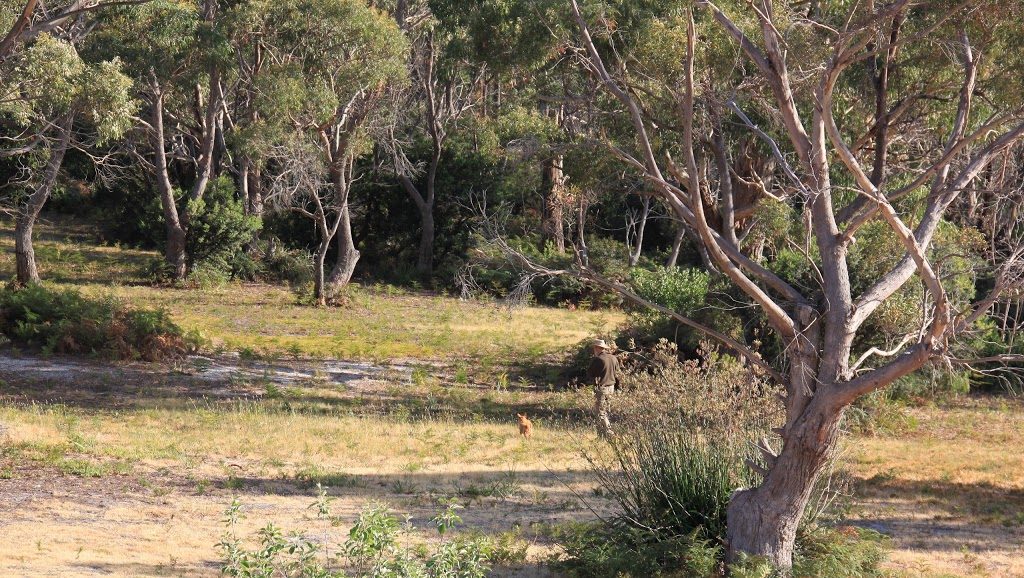 Bay of Fires Seachange | 30 Treloggen Dr, Binalong Bay TAS 7216, Australia | Phone: 0407 808 738