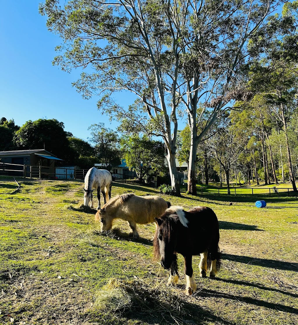 Trusting Connections Counselling | 1 Idolou Ct, Mudgeeraba QLD 4213, Australia | Phone: 0411 445 038