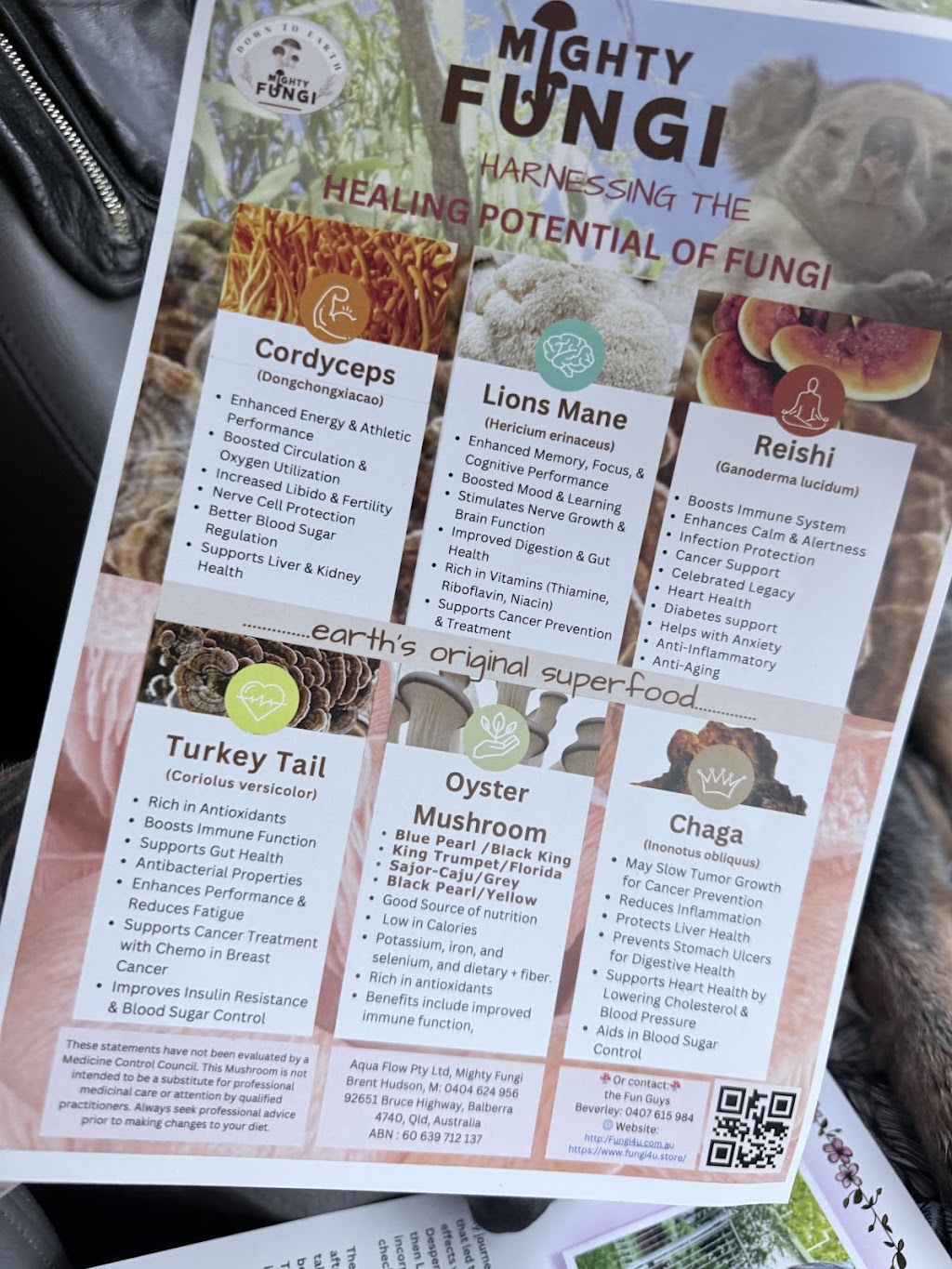 Mighty Fungi | 92651 Bruce Hwy, Balberra QLD 4740, Australia | Phone: 0404 624 956