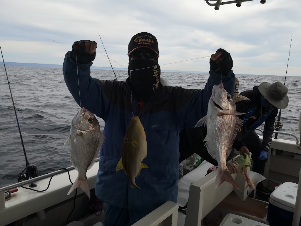 Pro Perch Fishing Charters | Endeavour Dr, Wollongong NSW 2500, Australia | Phone: 0433 918 869