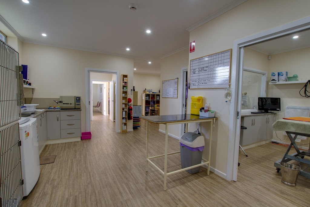 The Vet Clinic | veterinary care | 24 Murray St, Angaston SA 5353, Australia | 0885643488 OR +61 8 8564 3488