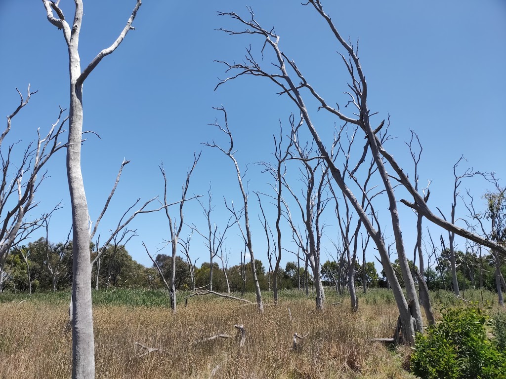 Braeside Park, Wetlands Viewing Platform | Braeside VIC 3195, Australia | Phone: 13 19 63